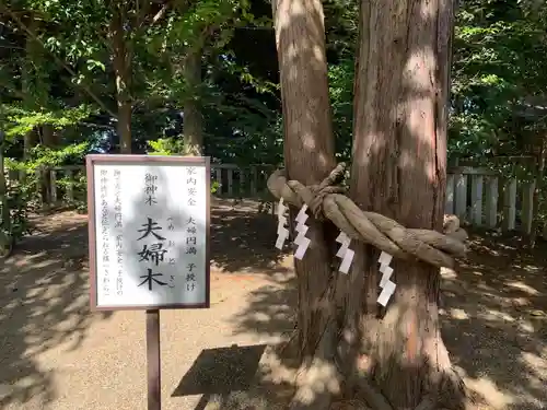 常陸第三宮　吉田神社(茨城県)