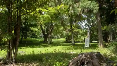 宇佐宮弥勒寺跡の自然