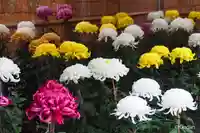 御上神社(滋賀県)