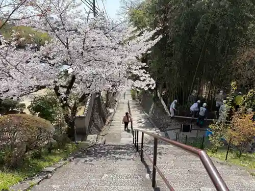 安岡寺(大阪府)