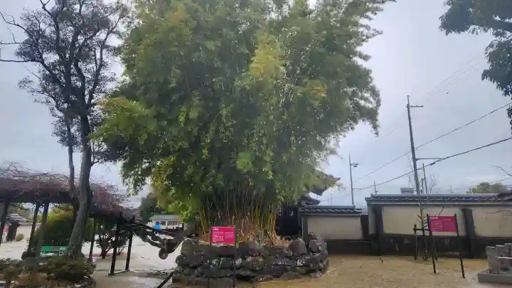 達磨寺の{uncategorized: "未分類", other: "その他", undefined: "問題あり", building: "その他建物", grave: "お墓", sacred_gate: "鳥居", guardian: "狛犬", statue: "像", buddha: "仏像", history: "歴史", nature: "自然", garden: "庭園", animal: "動物", pagoda: "塔", temizu: "手水舎", mountain_gate: "山門・神門", sanctuary: "本殿・本堂", subordinate: "末社・摂社", art: "芸術", scenery: "景色", jizo: "地蔵", ema: "絵馬", goshuin: "御朱印", omikuji: "おみくじ", items: "授与品その他", amulet: "お守り", goshuincho: "御朱印帳", eats: "食事", festival: "お祭り", votive_dance: "神楽", shichigosan: "七五三参", wedding: "結婚式", experience: "体験その他", initially: "初詣", around: "周辺", anti_infection: "感染症対策"}