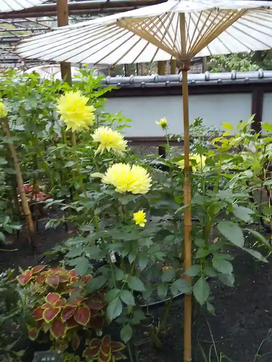 上野東照宮の自然