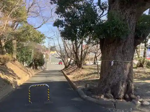 菟足神社の庭園