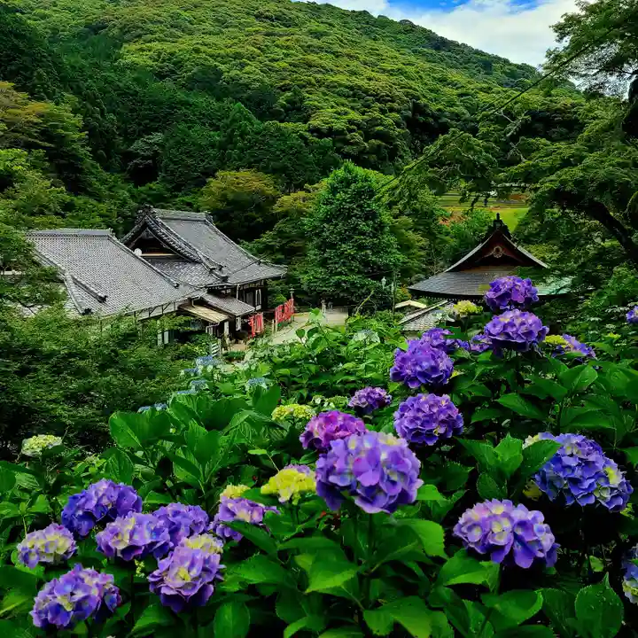 普門寺(切り絵御朱印発祥の寺)(愛知県)