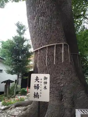 鳩ヶ谷氷川神社のその他建物