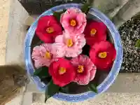 彦嶽宮(熊本県)