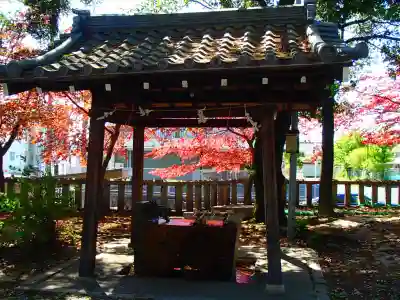 本土神社の手水舎
