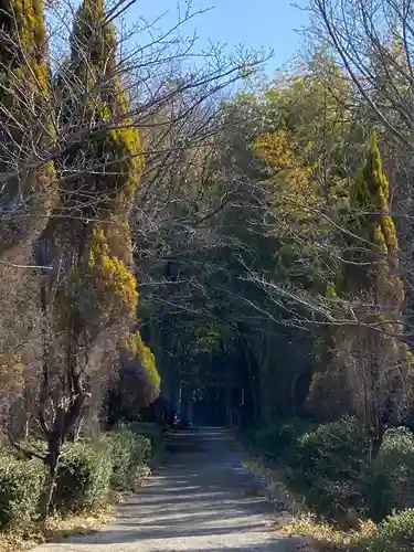 吉備津岡辛木神社(岡山県)