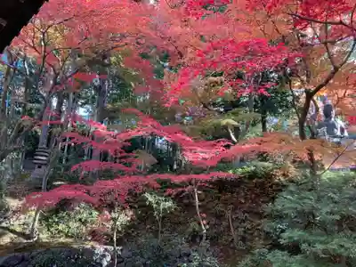 榮攝院（栄摂院）(京都府)