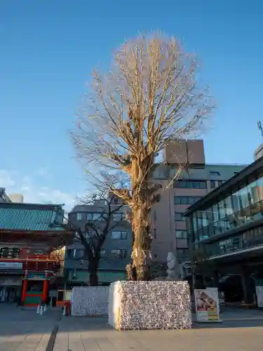 神田神社（神田明神）の{uncategorized: "未分類", other: "その他", undefined: "問題あり", building: "その他建物", grave: "お墓", sacred_gate: "鳥居", guardian: "狛犬", statue: "像", buddha: "仏像", history: "歴史", nature: "自然", garden: "庭園", animal: "動物", pagoda: "塔", temizu: "手水舎", mountain_gate: "山門・神門", sanctuary: "本殿・本堂", subordinate: "末社・摂社", art: "芸術", scenery: "景色", jizo: "地蔵", ema: "絵馬", goshuin: "御朱印", omikuji: "おみくじ", items: "授与品その他", amulet: "お守り", goshuincho: "御朱印帳", eats: "食事", festival: "お祭り", votive_dance: "神楽", shichigosan: "七五三参", wedding: "結婚式", experience: "体験その他", initially: "初詣", around: "周辺", anti_infection: "感染症対策"}