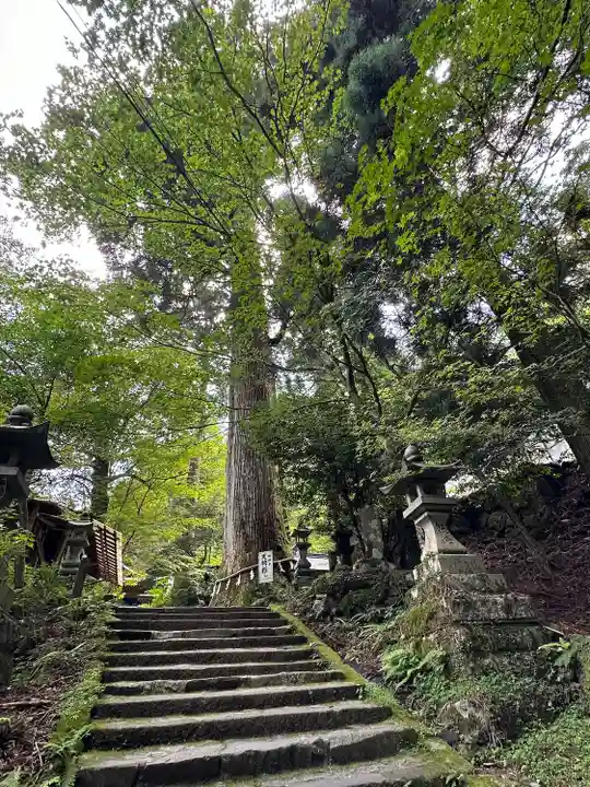 英彦山豊前坊高住神社(福岡県)