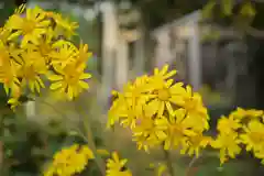 白山媛神社(新潟県)