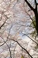 熊野神社(愛媛県)