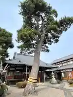 教願寺(滋賀県)
