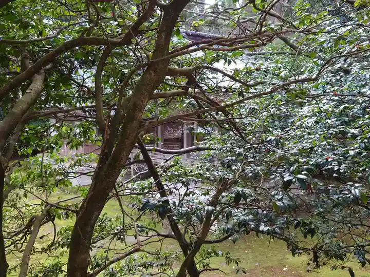 彌彦神社の自然