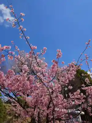 鳩森八幡神社(東京都)