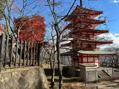 新倉富士浅間神社(山梨県)