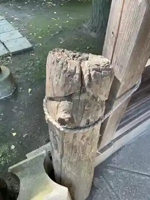 金山神社(若宮八幡宮境内社)(神奈川県)