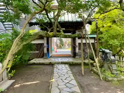 教恩寺(神奈川県)