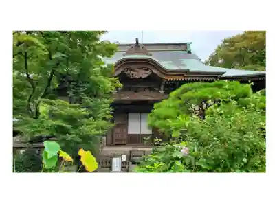 妙法寺の御朱印