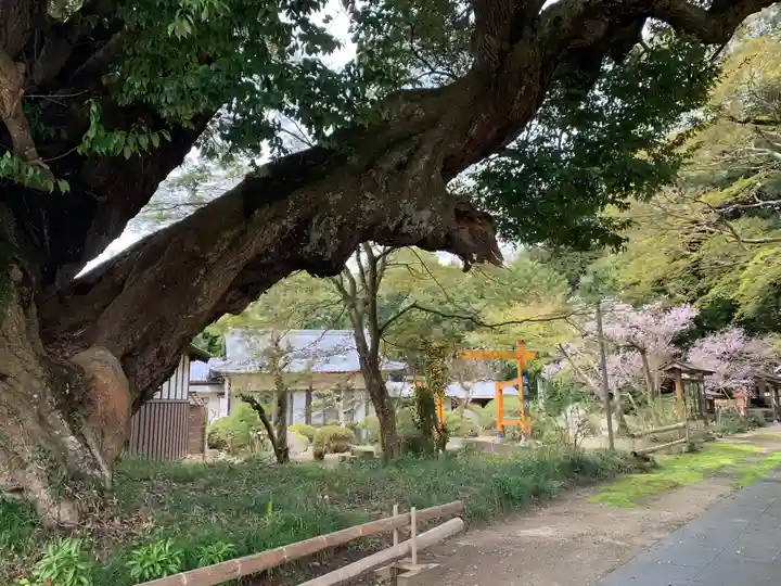 三嶋神社(茨城県)