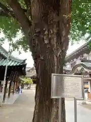 湯島天満宮の庭園