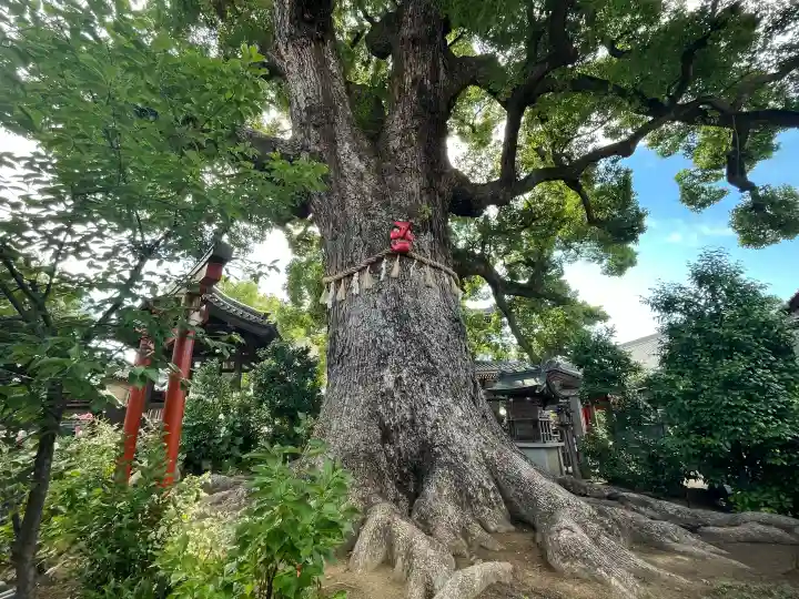 法楽寺(大阪府)