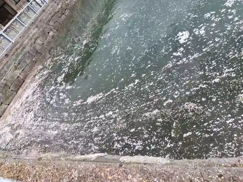 福井神社の自然