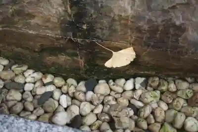 琴似神社のその他建物