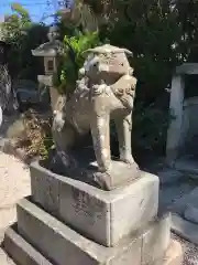 荒井神社の狛犬