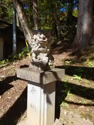 中社五斎神社の狛犬