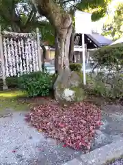 足羽神社(福井県)