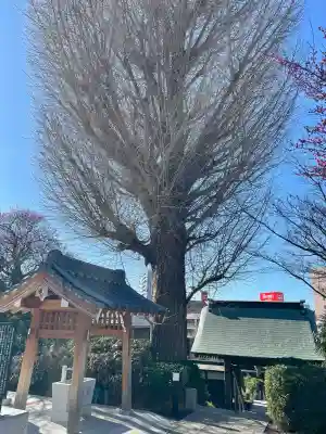 西勝寺の{uncategorized: "未分類", other: "その他", undefined: "問題あり", building: "その他建物", grave: "お墓", sacred_gate: "鳥居", guardian: "狛犬", statue: "像", buddha: "仏像", history: "歴史", nature: "自然", garden: "庭園", animal: "動物", pagoda: "塔", temizu: "手水舎", mountain_gate: "山門・神門", sanctuary: "本殿・本堂", subordinate: "末社・摂社", art: "芸術", scenery: "景色", jizo: "地蔵", ema: "絵馬", goshuin: "御朱印", omikuji: "おみくじ", items: "授与品その他", amulet: "お守り", goshuincho: "御朱印帳", eats: "食事", festival: "お祭り", votive_dance: "神楽", shichigosan: "七五三参", wedding: "結婚式", experience: "体験その他", initially: "初詣", around: "周辺", anti_infection: "感染症対策"}
