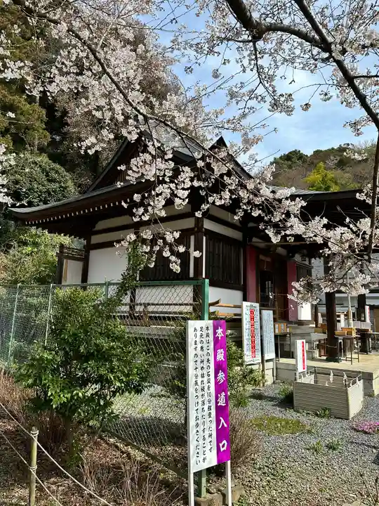 白山神社(東京都)