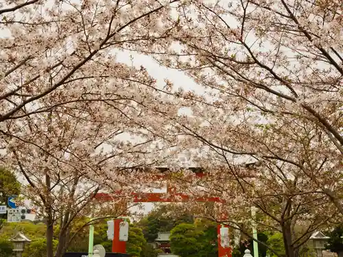 鶴岡八幡宮の自然