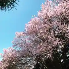 豊景神社の自然