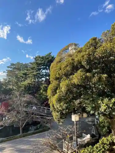 西新井大師総持寺(東京都)