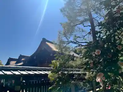 城南宮(京都府)