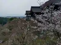清水寺の{uncategorized: "未分類", other: "その他", undefined: "問題あり", building: "その他建物", grave: "お墓", sacred_gate: "鳥居", guardian: "狛犬", statue: "像", buddha: "仏像", history: "歴史", nature: "自然", garden: "庭園", animal: "動物", pagoda: "塔", temizu: "手水舎", mountain_gate: "山門・神門", sanctuary: "本殿・本堂", subordinate: "末社・摂社", art: "芸術", scenery: "景色", jizo: "地蔵", ema: "絵馬", goshuin: "御朱印", omikuji: "おみくじ", items: "授与品その他", amulet: "お守り", goshuincho: "御朱印帳", eats: "食事", festival: "お祭り", votive_dance: "神楽", shichigosan: "七五三参", wedding: "結婚式", experience: "体験その他", initially: "初詣", around: "周辺", anti_infection: "感染症対策"}