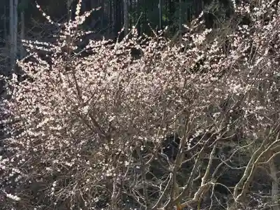 當麻寺 奥院(奈良県)