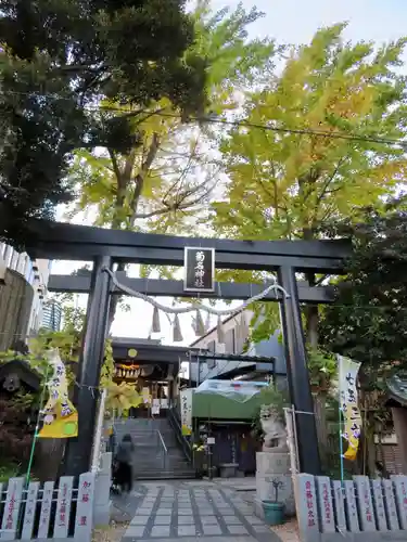 菊名神社の鳥居