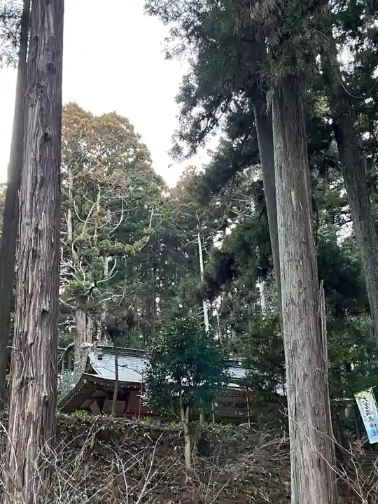 大宮温泉神社(栃木県)