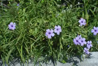 四條畷神社(大阪府)