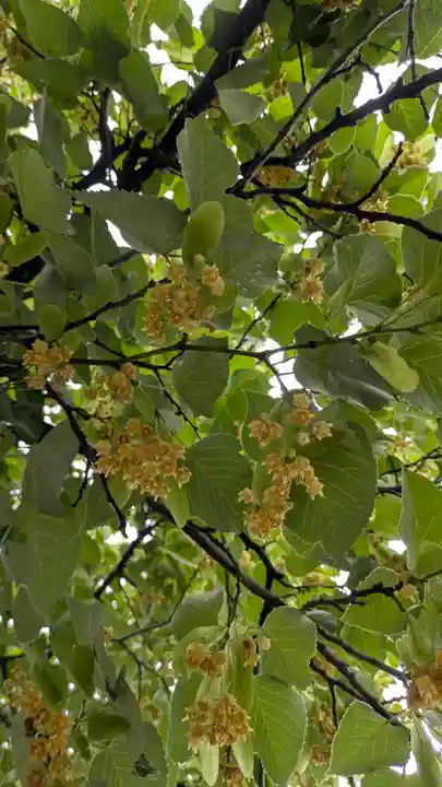 くろ谷 金戒光明寺(京都府)
