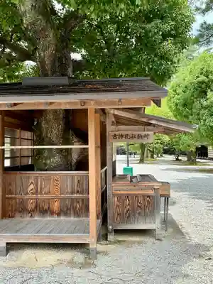 橿原神宮(奈良県)