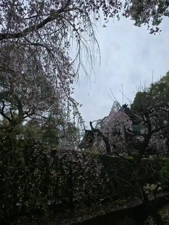 南禅寺の{uncategorized: "未分類", other: "その他", undefined: "問題あり", building: "その他建物", grave: "お墓", sacred_gate: "鳥居", guardian: "狛犬", statue: "像", buddha: "仏像", history: "歴史", nature: "自然", garden: "庭園", animal: "動物", pagoda: "塔", temizu: "手水舎", mountain_gate: "山門・神門", sanctuary: "本殿・本堂", subordinate: "末社・摂社", art: "芸術", scenery: "景色", jizo: "地蔵", ema: "絵馬", goshuin: "御朱印", omikuji: "おみくじ", items: "授与品その他", amulet: "お守り", goshuincho: "御朱印帳", eats: "食事", festival: "お祭り", votive_dance: "神楽", shichigosan: "七五三参", wedding: "結婚式", experience: "体験その他", initially: "初詣", around: "周辺", anti_infection: "感染症対策"}