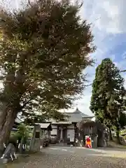 三ツ石神社(岩手県)