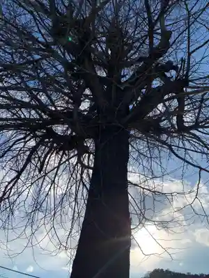 小松神社(栃木県)