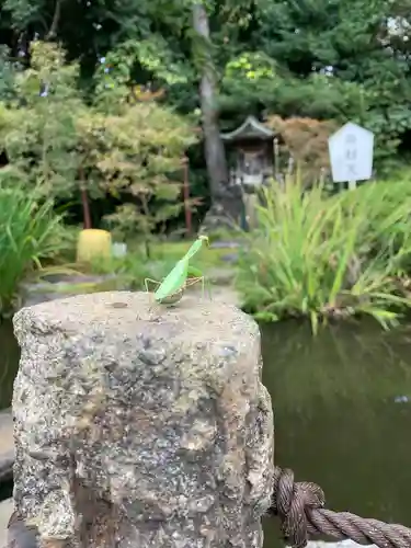 大聖寺（土浦大師不動尊）の庭園