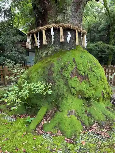 熱田神宮(愛知県)